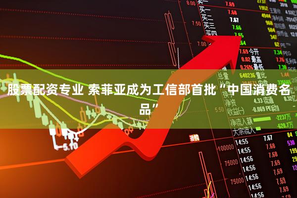 股票配资专业 索菲亚成为工信部首批“中国消费名品”