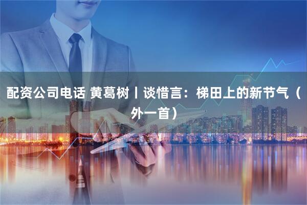 配资公司电话 黄葛树丨谈惜言：梯田上的新节气（外一首）