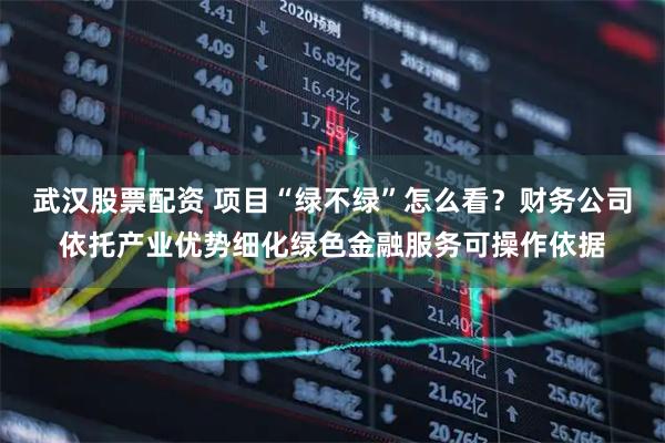 武汉股票配资 项目“绿不绿”怎么看？财务公司依托产业优势细化绿色金融服务可操作依据