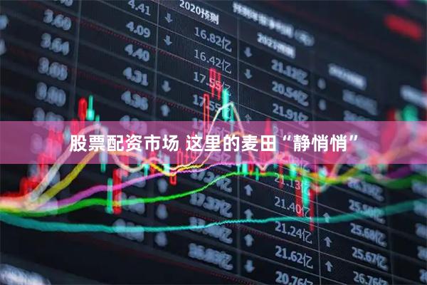 股票配资市场 这里的麦田“静悄悄”